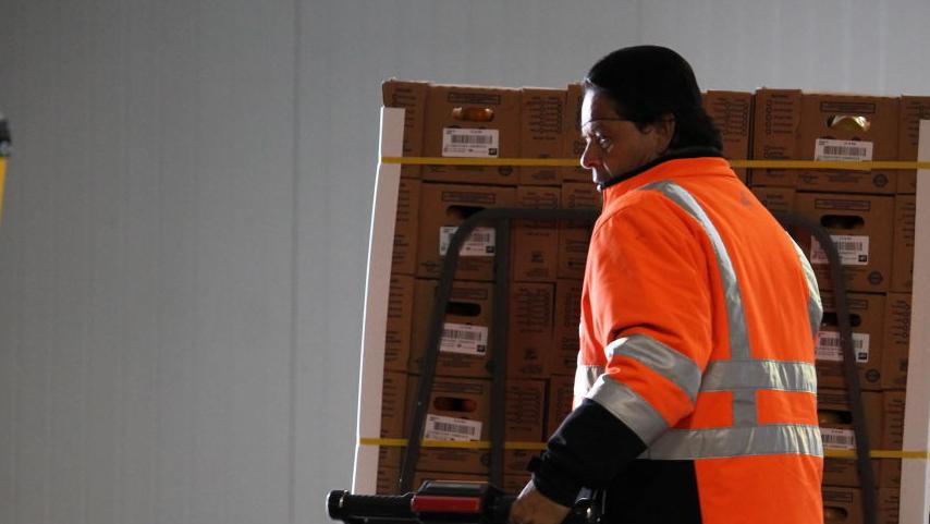 Steller: Rebuilt Arizona-Mexico relationship casually trashed by Trump